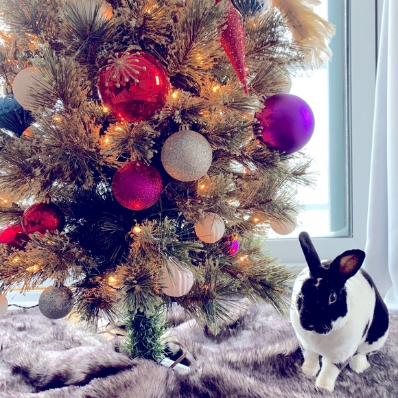 Meet your Posher, Anastasia - Picture 1 of 1